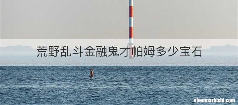 荒野乱斗金融鬼才帕姆多少宝石