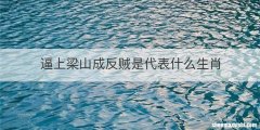 逼上梁山成反贼是代表什么生肖