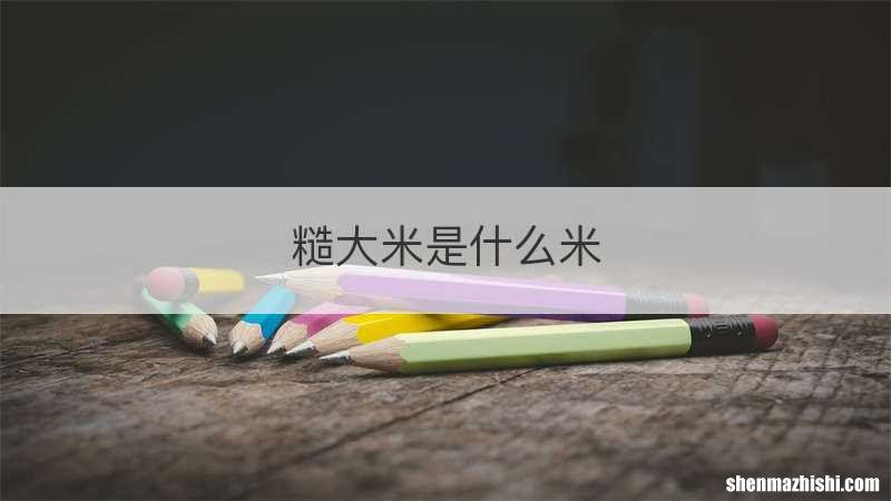 糙大米是什么米