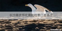 长沙南去怀化南的检票口是哪个