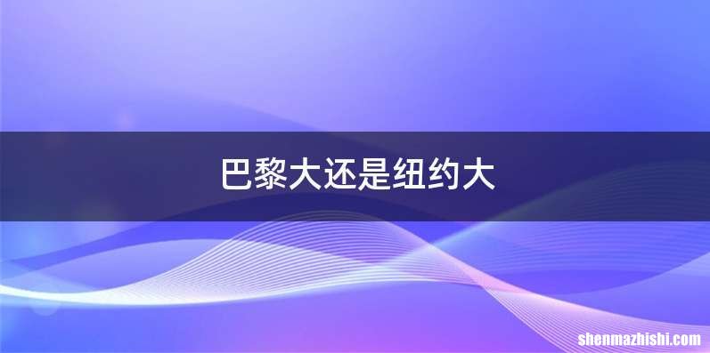 巴黎大还是纽约大