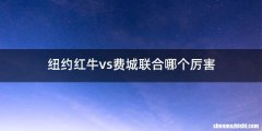 纽约红牛vs费城联合哪个厉害