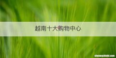 越南十大购物中心