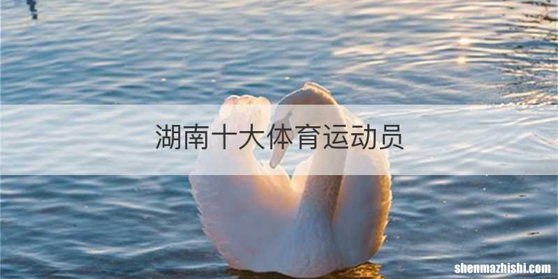 湖南十大体育运动员