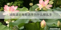 湖南湖北电竞选手为什么那么多