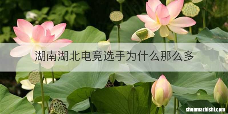 湖南湖北电竞选手为什么那么多