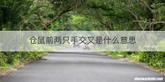 仓鼠前两只手交叉是什么意思