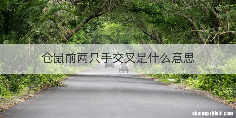仓鼠前两只手交叉是什么意思