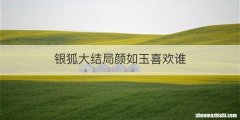 银狐大结局颜如玉喜欢谁