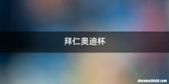 拜仁奥迪杯