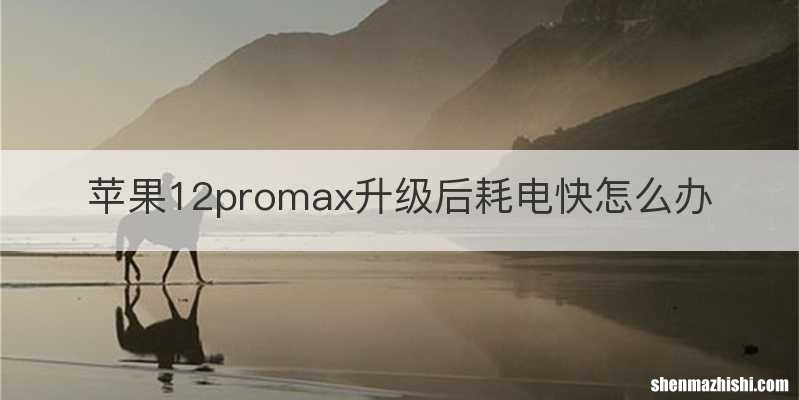 苹果12promax升级后耗电快怎么办
