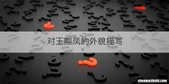 对王熙凤的外貌描写