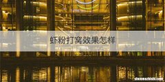虾粉打窝效果怎样