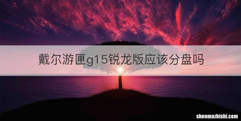 戴尔游匣g15锐龙版应该分盘吗