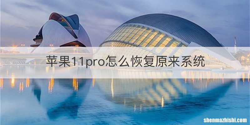 苹果11pro怎么恢复原来系统