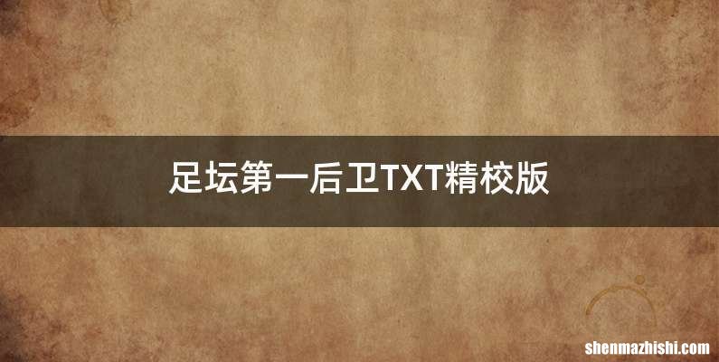 足坛第一后卫TXT精校版