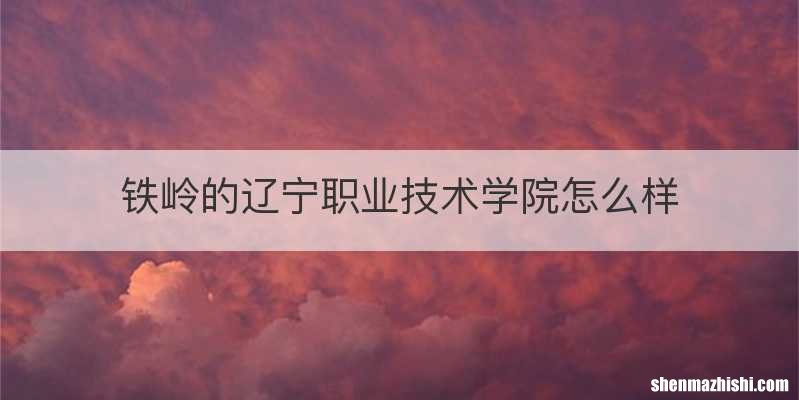 铁岭的辽宁职业技术学院怎么样