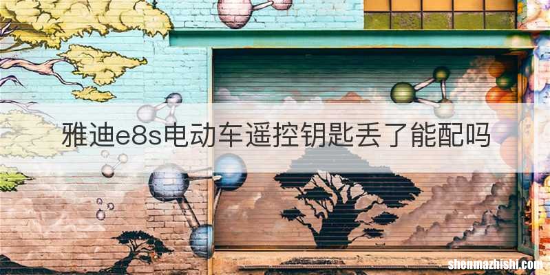 雅迪e8s电动车遥控钥匙丢了能配吗