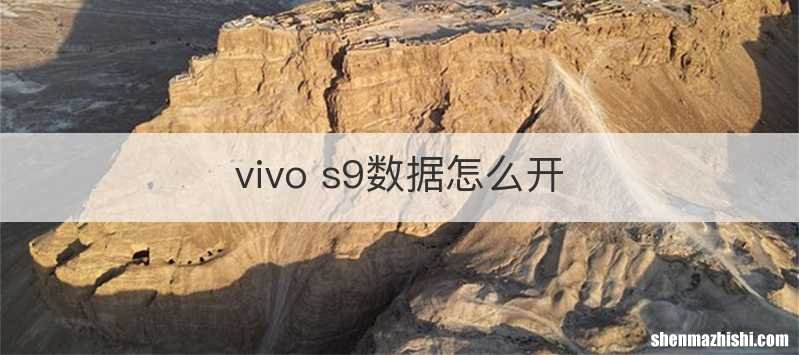 vivo s9数据怎么开