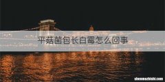 平菇菌包长白霉怎么回事