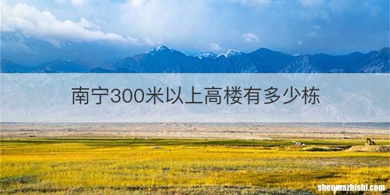 南宁300米以上高楼有多少栋