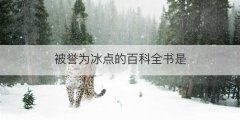 被誉为冰点的百科全书是