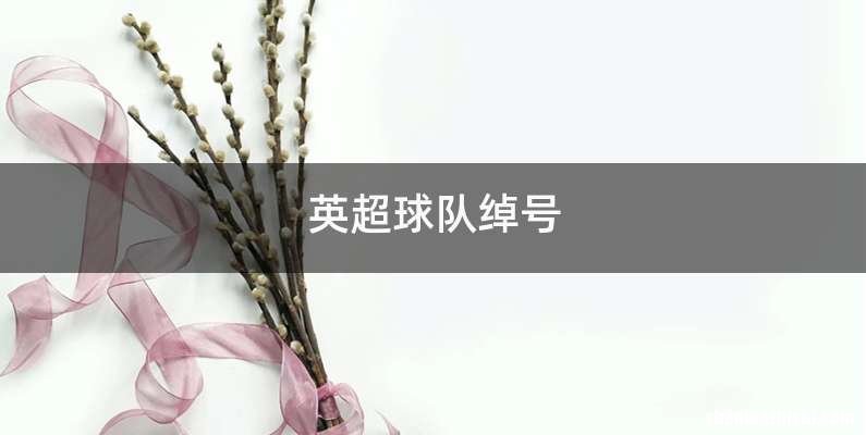 英超球队绰号