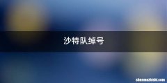 沙特队绰号