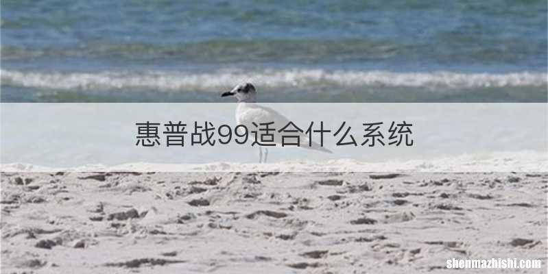 惠普战99适合什么系统