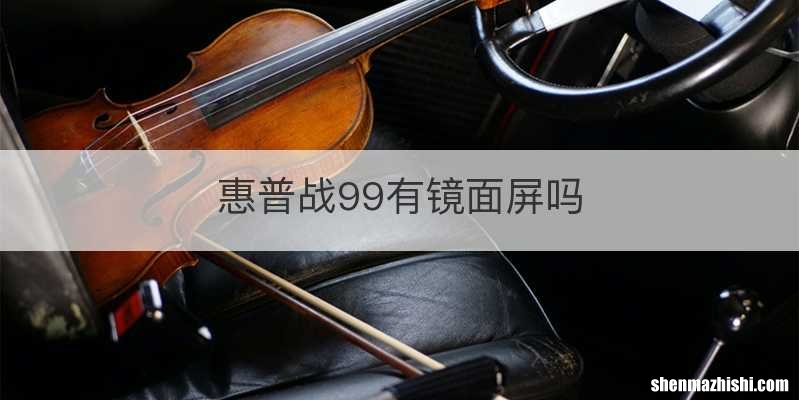 惠普战99有镜面屏吗