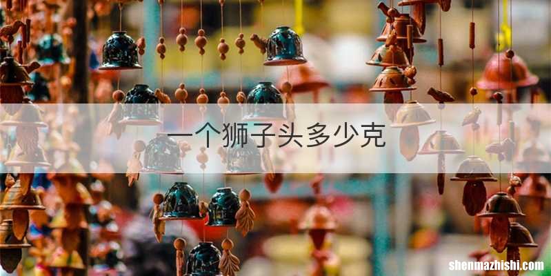 一个狮子头多少克