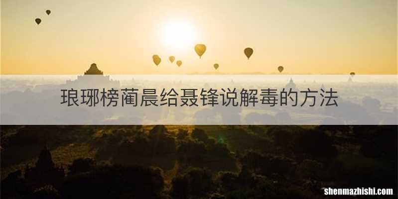 琅琊榜蔺晨给聂锋说解毒的方法