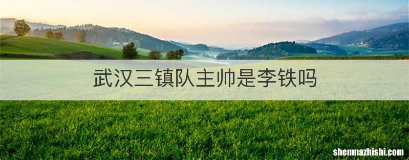 武汉三镇队主帅是李铁吗