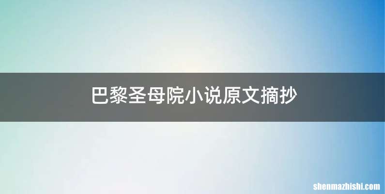 巴黎圣母院小说原文摘抄