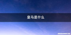 皇马是什么