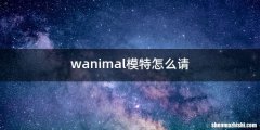 wanimal模特怎么请
