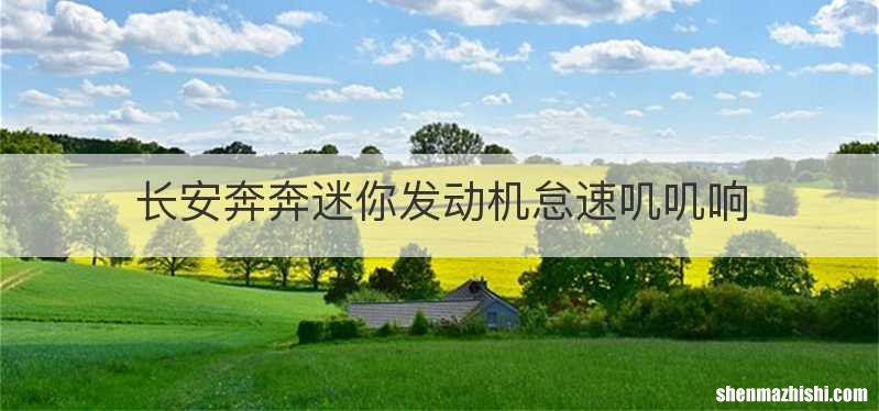 长安奔奔迷你发动机怠速叽叽响