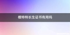 模特特长生证书有用吗