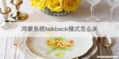鸿蒙系统talkback模式怎么关