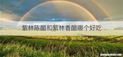 紫林陈醋和紫林香醋哪个好吃