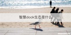 智慧dock生态是什么