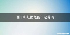西非和红面龟能一起养吗