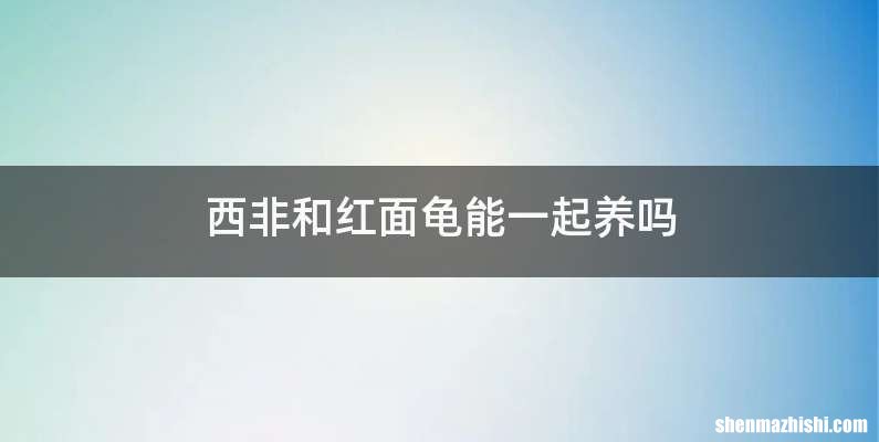 西非和红面龟能一起养吗