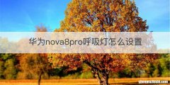 华为nova8pro呼吸灯怎么设置