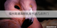 福州南通海鲜批发市场几点开门
