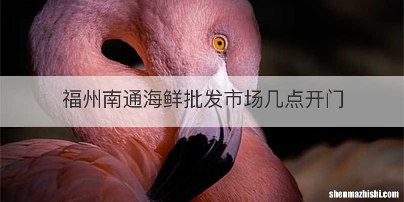 福州南通海鲜批发市场几点开门