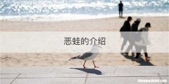 恶蛙的介绍