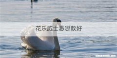 花乐威士忌哪款好