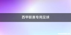 西甲联赛专用足球