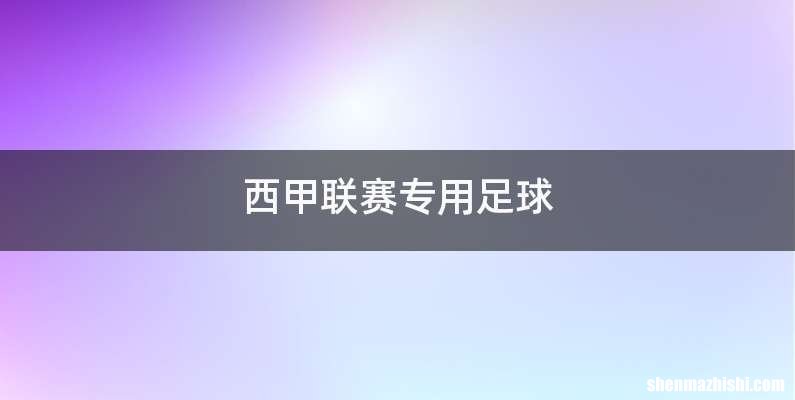 西甲联赛专用足球